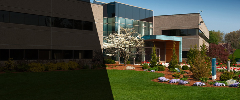 Montague Landscapers