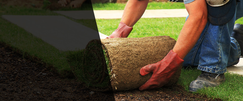 Montague Landscapers